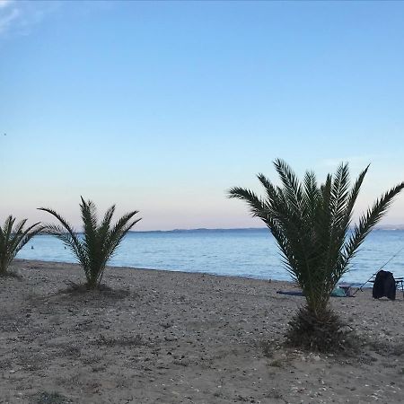 Park Apartment Paralia Dionysiou Dış mekan fotoğraf